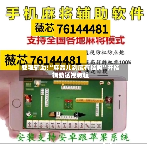 教程辅助!“麻溜儿到底有挂吗	”开挂辅助透视教程-第2张图片