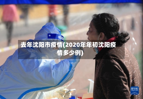 去年沈阳市疫情(2020年年初沈阳疫情多少例)-第2张图片