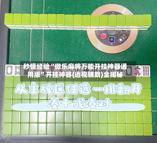 秒懂经验“微乐麻将万能开挂神器通用版”开挂神器{透视辅助}全揭秘-第1张图片