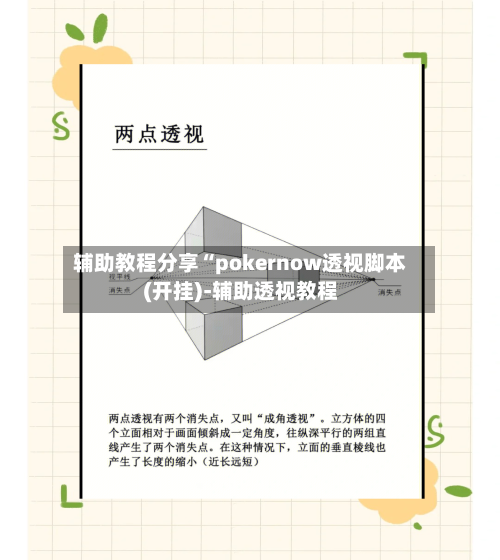 辅助教程分享“pokernow透视脚本(开挂)-辅助透视教程-第1张图片
