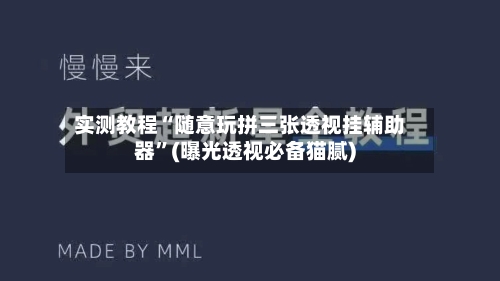 实测教程“随意玩拼三张透视挂辅助器	”(曝光透视必备猫腻)-第1张图片