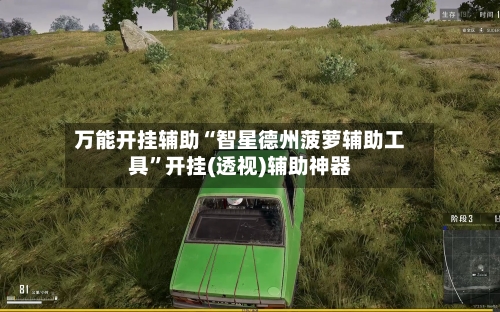 万能开挂辅助“智星德州菠萝辅助工具”开挂(透视)辅助神器-第1张图片