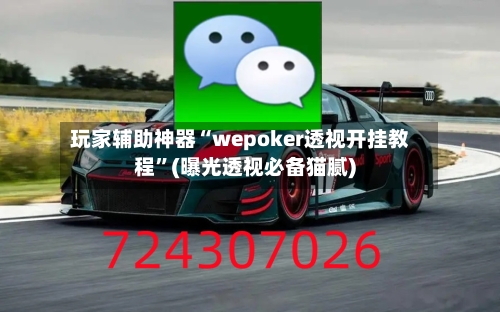 玩家辅助神器“wepoker透视开挂教程”(曝光透视必备猫腻)-第1张图片