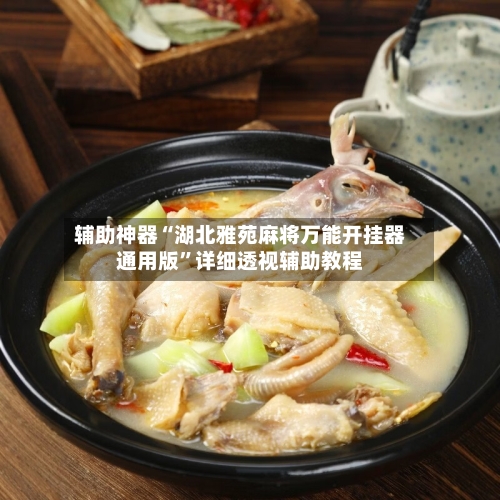 辅助神器“湖北雅苑麻将万能开挂器通用版”详细透视辅助教程-第1张图片