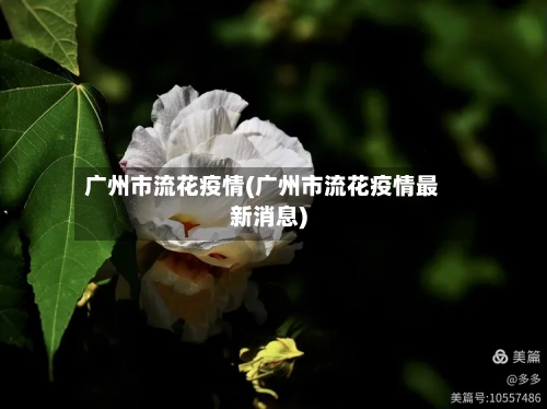 广州市流花疫情(广州市流花疫情最新消息)-第2张图片