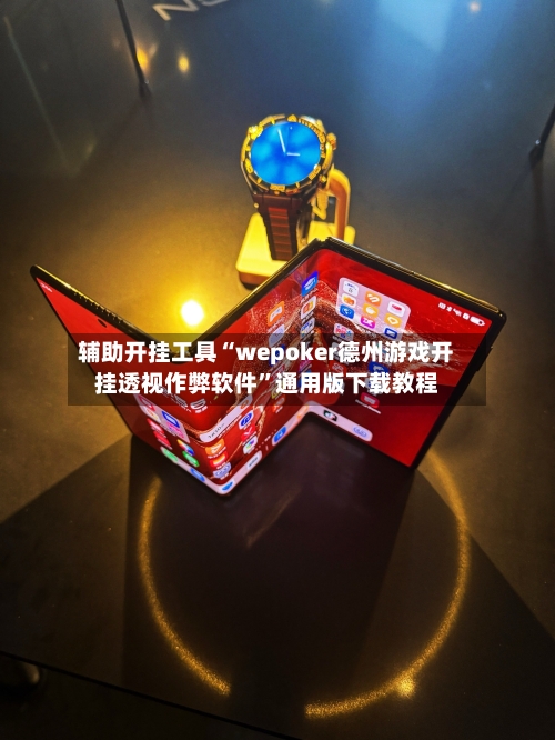 辅助开挂工具“wepoker德州游戏开挂透视作弊软件”通用版下载教程-第2张图片