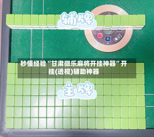 秒懂经验“甘肃微乐麻将开挂神器	”开挂(透视)辅助神器-第2张图片