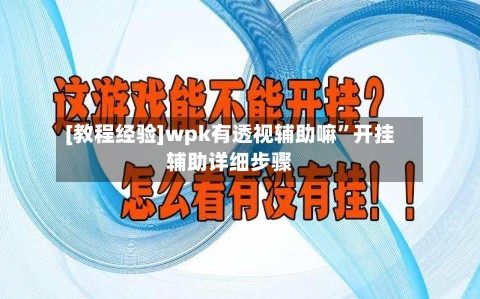 [教程经验]wpk有透视辅助嘛”开挂辅助详细步骤-第1张图片