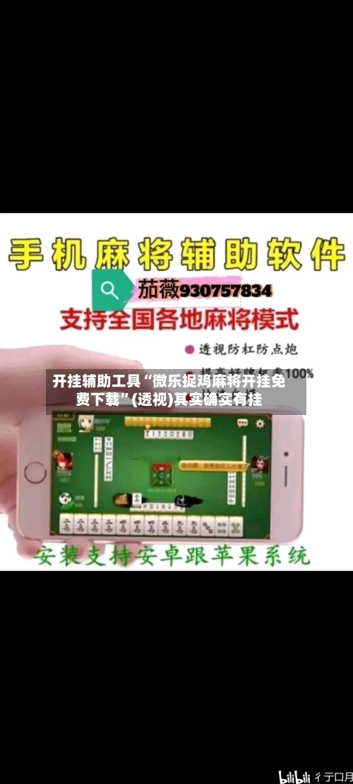 开挂辅助工具“微乐捉鸡麻将开挂免费下载”(透视)其实确实有挂-第1张图片