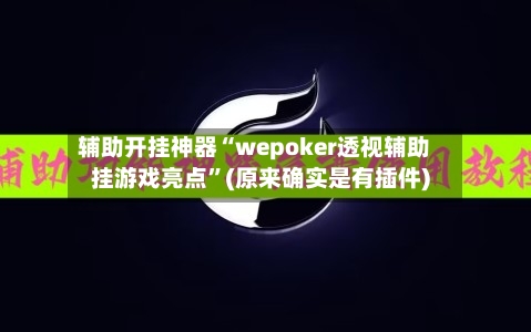 辅助开挂神器“wepoker透视辅助挂游戏亮点”(原来确实是有插件)-第1张图片