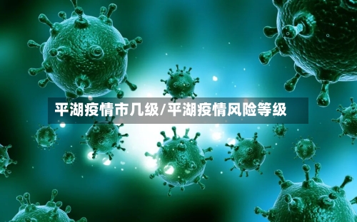 平湖疫情市几级/平湖疫情风险等级-第1张图片