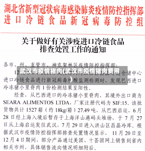 武汉市疫情猪肉(武汉市疫情猪肉费用)-第1张图片