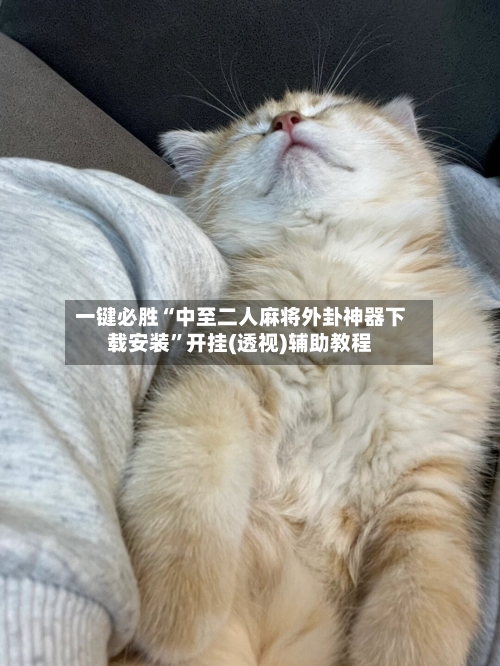 一键必胜“中至二人麻将外卦神器下载安装”开挂(透视)辅助教程-第1张图片