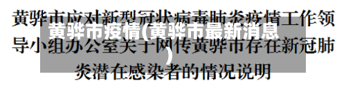 黄骅市疫情(黄骅市最新消息)-第1张图片