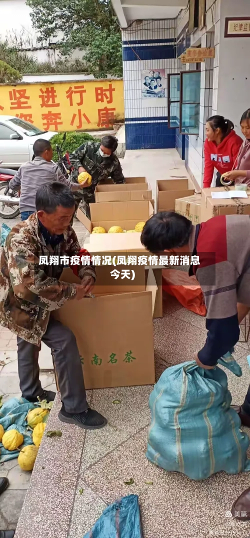 凤翔市疫情情况(凤翔疫情最新消息今天)-第2张图片