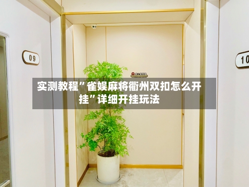 实测教程”雀娱麻将衢州双扣怎么开挂”详细开挂玩法-第2张图片