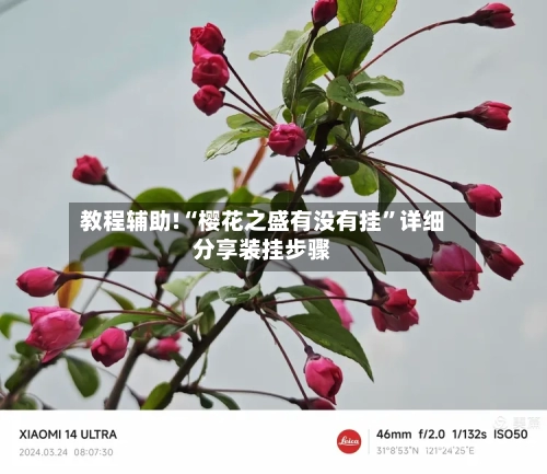 教程辅助!“樱花之盛有没有挂”详细分享装挂步骤-第3张图片