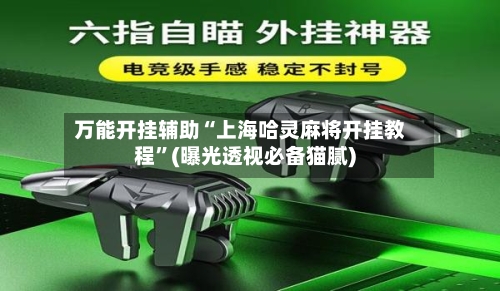 万能开挂辅助“上海哈灵麻将开挂教程	”(曝光透视必备猫腻)-第1张图片