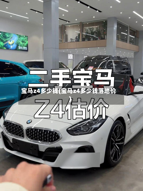宝马z4多少钱(宝马z4多少钱落地价)-第2张图片