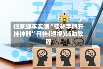独家脚本实测“桂林字牌开挂神器	”开挂(透视)辅助教程-第3张图片