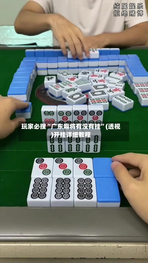 玩家必搜“广东麻将有没有挂	”(透视)开挂详细教程-第2张图片