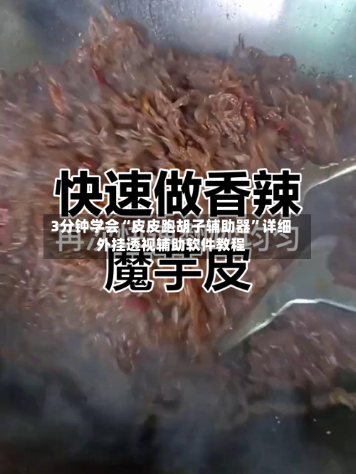 3分钟学会“皮皮跑胡子辅助器	”详细外挂透视辅助软件教程-第1张图片