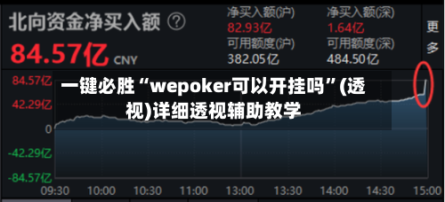 一键必胜“wepoker可以开挂吗”(透视)详细透视辅助教学-第3张图片