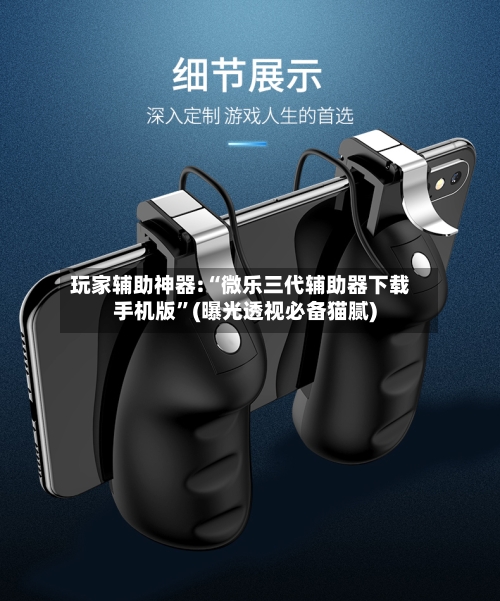 玩家辅助神器:“微乐三代辅助器下载手机版”(曝光透视必备猫腻)-第1张图片
