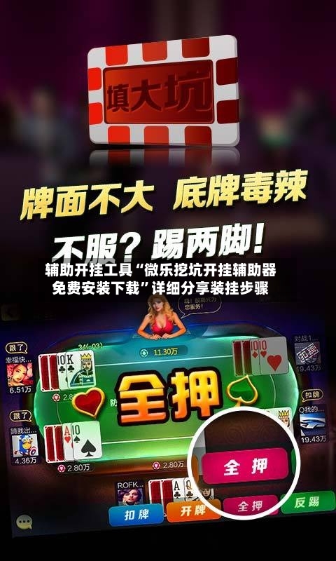 辅助开挂工具“微乐挖坑开挂辅助器免费安装下载”详细分享装挂步骤-第1张图片