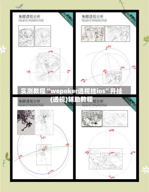 实测教程“wepoker透视挂ios	”开挂(透视)辅助教程-第1张图片