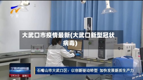 大武口市疫情最新(大武口新型冠状病毒)-第3张图片