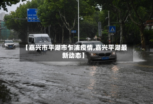 【嘉兴市平湖市乍浦疫情,嘉兴平湖最新动态】-第3张图片