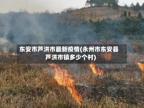 东安市芦洪市最新疫情(永州市东安县芦洪市镇多少个村)-第1张图片