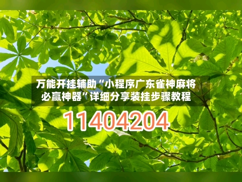 万能开挂辅助“小程序广东雀神麻将必赢神器”详细分享装挂步骤教程-第2张图片