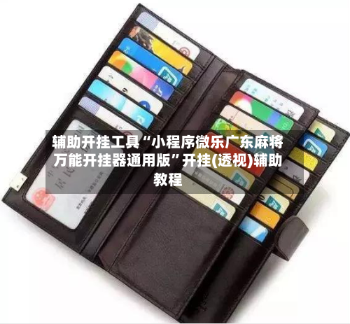 辅助开挂工具“小程序微乐广东麻将万能开挂器通用版”开挂(透视)辅助教程-第1张图片