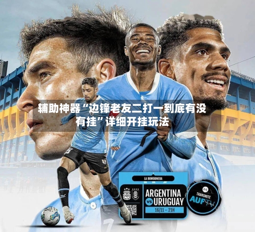 辅助神器“边锋老友二打一到底有没有挂”详细开挂玩法-第1张图片