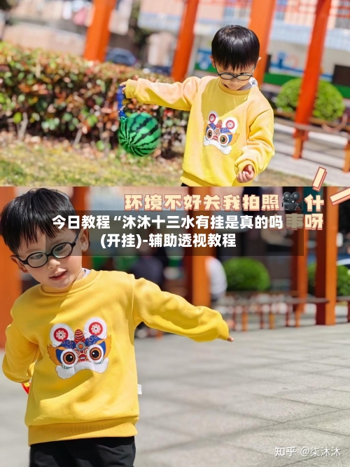 今日教程“沐沐十三水有挂是真的吗(开挂)-辅助透视教程-第3张图片