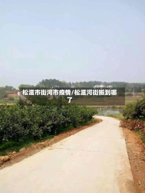 松滋市街河市疫情/松滋河街搬到哪了-第1张图片