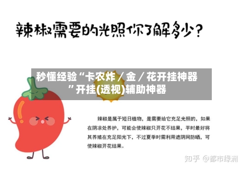 秒懂经验“卡农炸／金／花开挂神器”开挂(透视)辅助神器-第1张图片