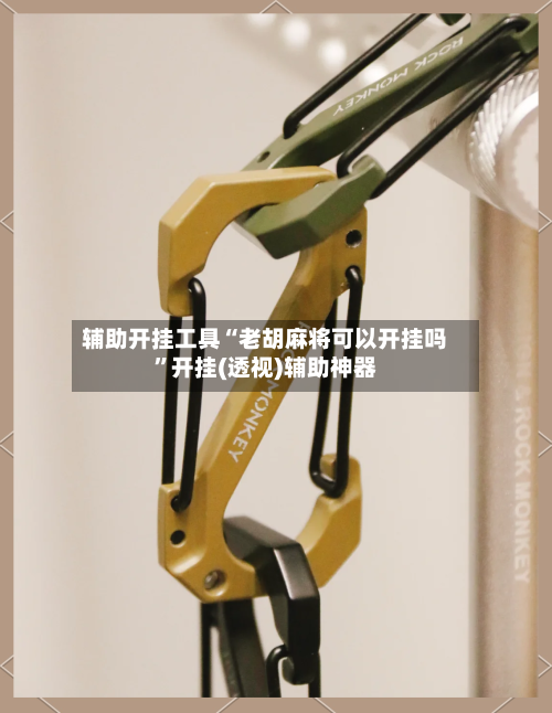 辅助开挂工具“老胡麻将可以开挂吗	”开挂(透视)辅助神器-第1张图片