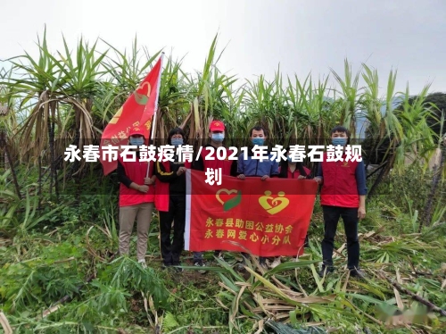 永春市石鼓疫情/2021年永春石鼓规划-第2张图片