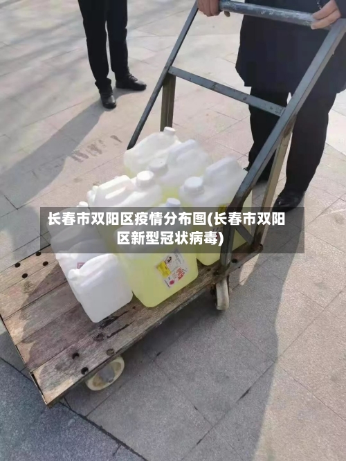 长春市双阳区疫情分布图(长春市双阳区新型冠状病毒)-第2张图片