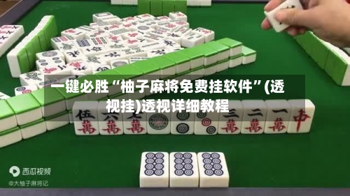 一键必胜“柚子麻将免费挂软件”(透视挂)透视详细教程-第1张图片