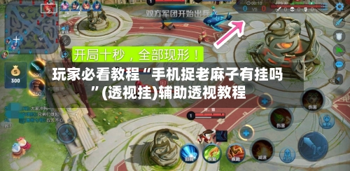 玩家必看教程“手机捉老麻子有挂吗	”(透视挂)辅助透视教程-第2张图片