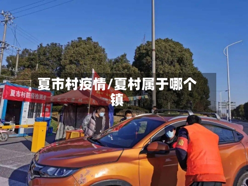 夏市村疫情/夏村属于哪个镇-第2张图片