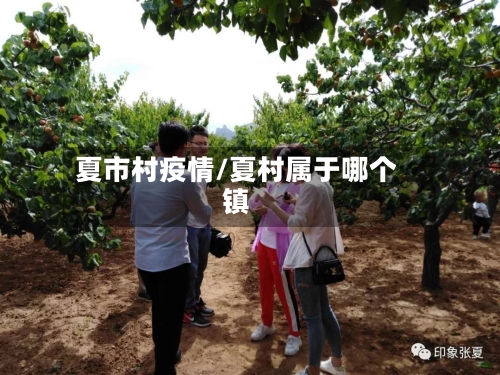 夏市村疫情/夏村属于哪个镇-第3张图片