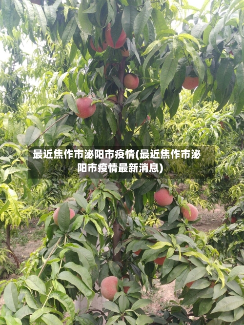 最近焦作市泌阳市疫情(最近焦作市泌阳市疫情最新消息)-第2张图片