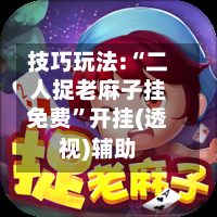 技巧玩法:“二人捉老麻子挂免费”开挂(透视)辅助-第3张图片