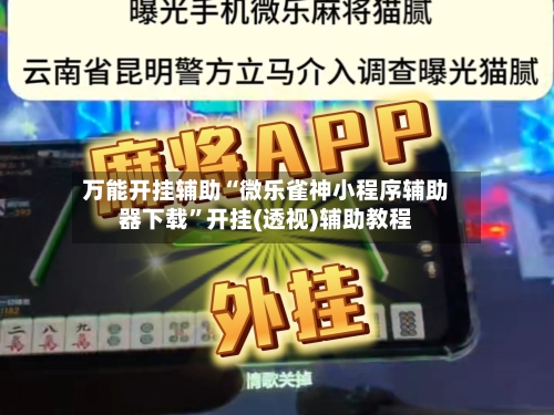 万能开挂辅助“微乐雀神小程序辅助器下载	”开挂(透视)辅助教程-第2张图片