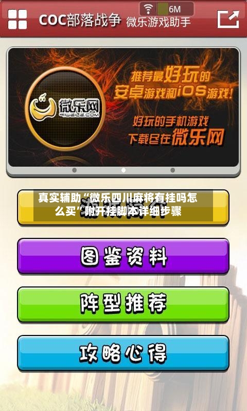 真实辅助“微乐四川麻将有挂吗怎么买”附开挂脚本详细步骤-第3张图片